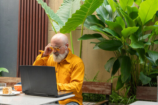 Senior businessman work remotely on laptop in garden