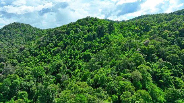 Aerial view reveals rich tropical forest vegetation, highlighting ecosystem services, biodiversity preservation, soil protection, carbon capture, and climate resilience. Phrae Province, Thailand. 4k.
