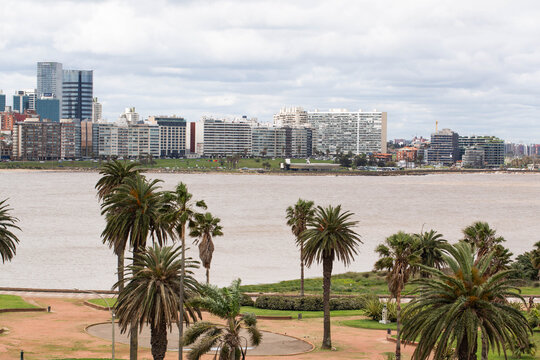 Panoramic View of Pocitos District with Palm Trees and Sandy Beach in Montevideo