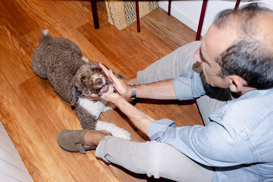 Older pet owner affectionately holding happy dog at home