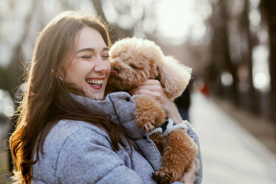 Close up portrait of happy woman with her brown poodle dog