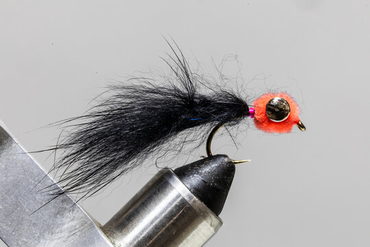 Egg sucking leach marabou fly on a tying vice ready to take fishing for steelhead