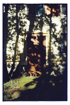 Light and shadows play on the wall of a building in an outdoor setting