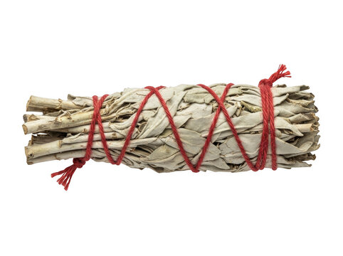 Natural white sage smudge stick bundle tied with a red string for cleansing and spiritual rituals isolated on transparent background