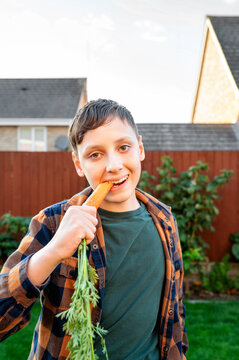 Teen boy bite fresh organic carrot in backyard garden
