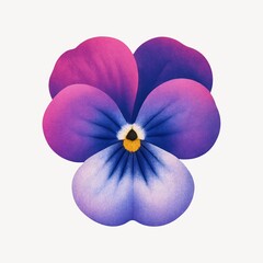 Fototapeta premium Vibrant pansy flower illustration