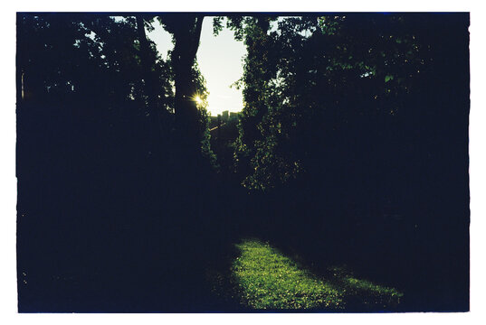 Sunlight shines through trees in a park during late afternoon
