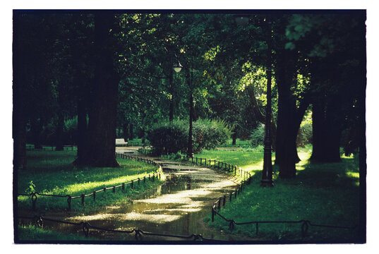 Pathway in a park after rain with green trees and street lamps