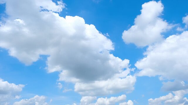A blue sky cloud timelapse video captures towering white cumulus clouds growing and drifting across a vivid deep blue sky, with sunlit tops and soft gray bases shaped by warm air and gentle winds. 4k.