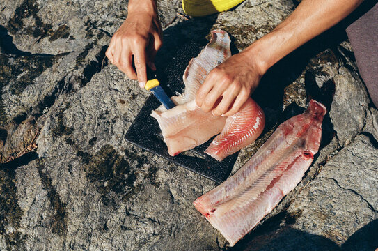 Preparing Fish on a Rock by the Water in Daylight Hours