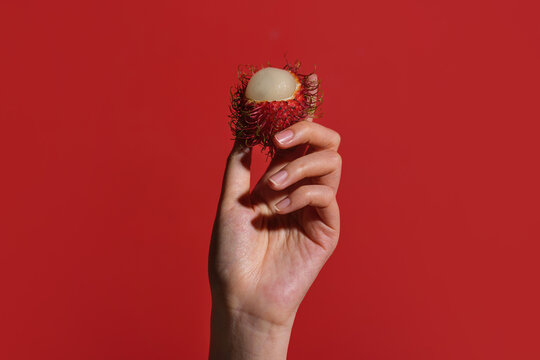 A hand delicately holds a ripe rambutan fruit against a vivid red
