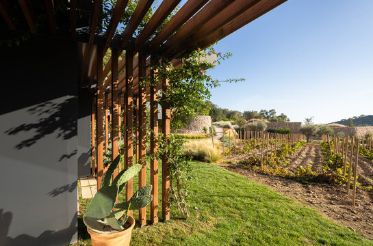 Luxury villa spa garden in Catalonia with vineyard view