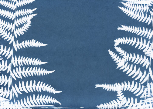 Cyanotype Fern Silhouettes on Blue Paper