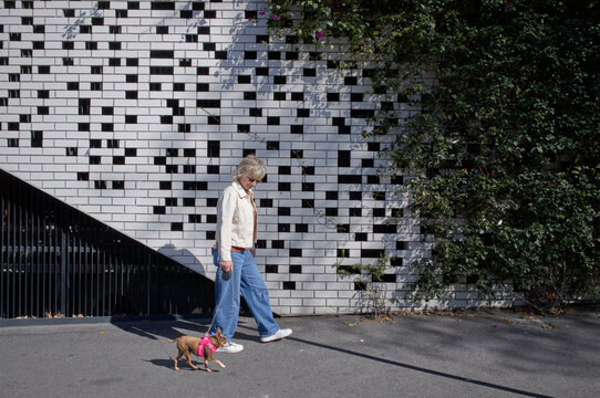 Woman Walks Dog Beside Brick Wall Covered in Plants