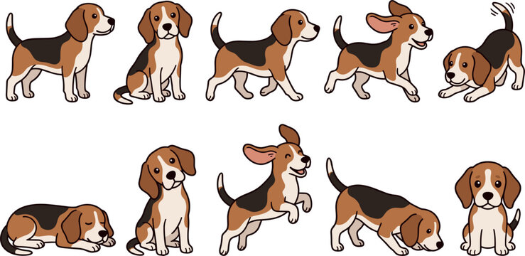 Cute Beagle Puppy Vector Character Set with Diverse Poses Actions and Expressions for Pet Shop Veterinary Clinics and Animal Care Graphic Designs
