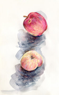 Apples drawing