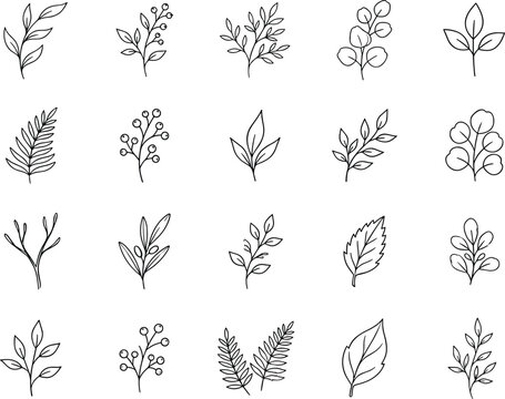 Collection of twenty fine line botanical branches leaves fern fronds and small berries hand drawn vector elements