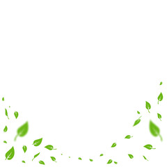 Fototapeta premium Pure Nature Background with Falling Leaves for Green Energy Flyer. Vector