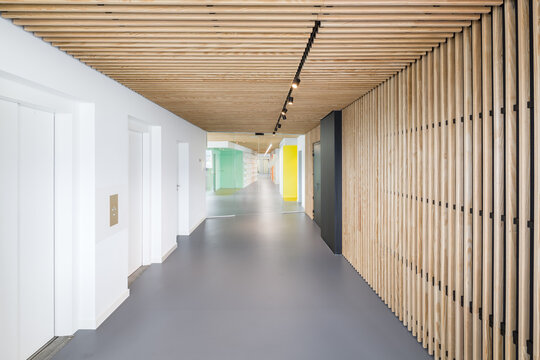 Modern coworking office corridor with wooden slat ceiling