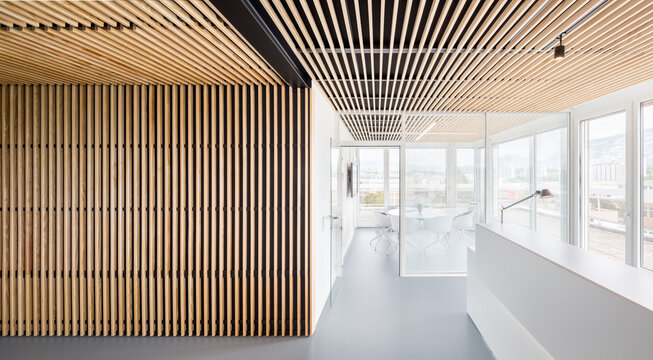 Modern coworking office interior with wood slat ceiling