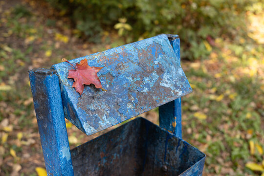 Red maple leaf on weathered blue metal bin