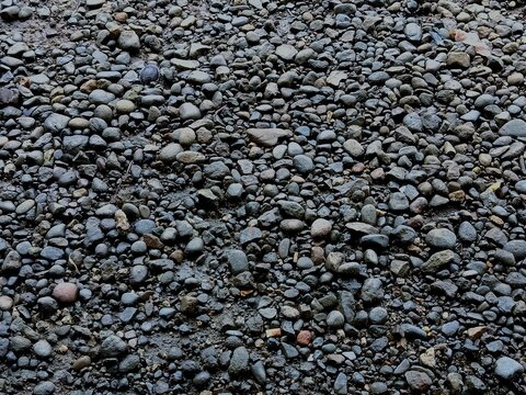 Natural gravel surface covered with smooth gray pebbles and small stones, creating a detailed earthy texture suitable for outdoor backgrounds, landscaping and construction concepts.