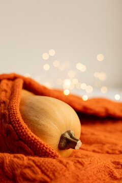 Pumpkin wrapped in orange sweater with autumn bokeh lights