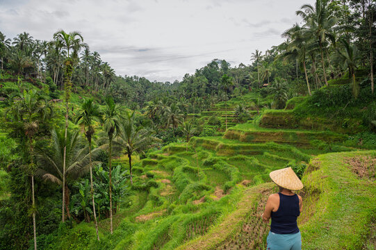 Woman viewing terraced rice fields in rural Bali