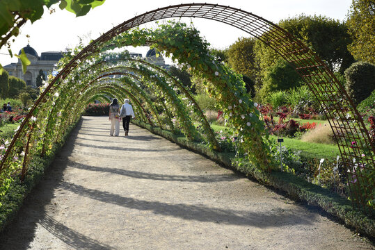 Fl&acirc;ner au jardin en &eacute;t&eacute; &agrave; Paris. France