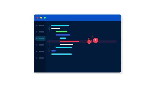 software code validation with error detection bug testing process coding