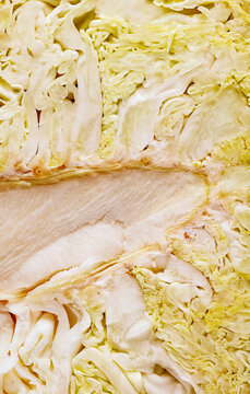 Close up of sliced cabbage showing crisp leaf texture