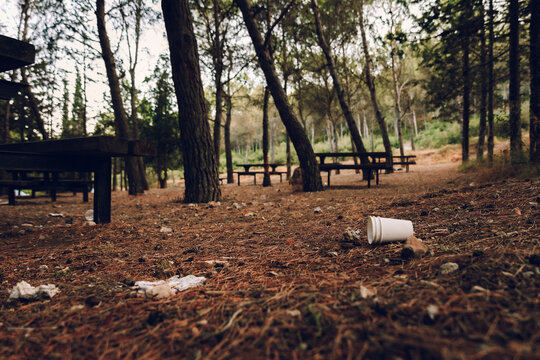 Littered picnic area in forest with discarded cup