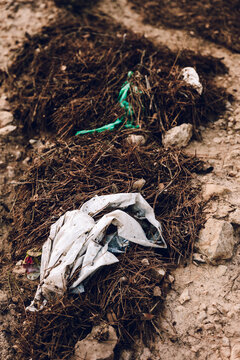 Plastic litter and campfire trash pollute forest ground