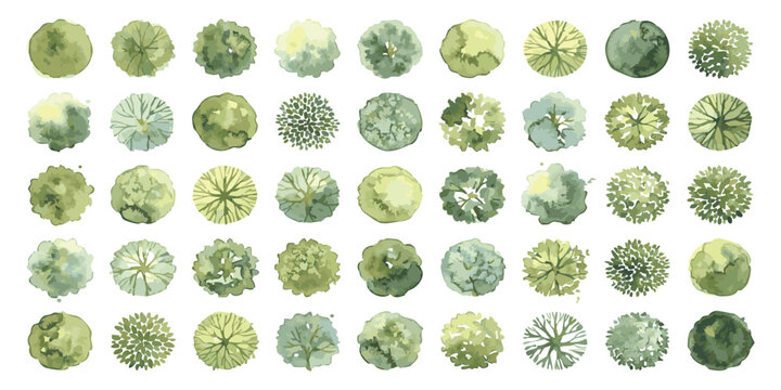 Set of forty different green tree icons for architectural landscape site plan design and garden planning projects