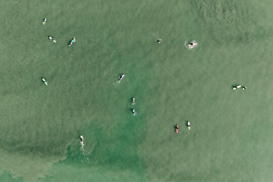 Aerial view of surfers waiting in the sea at Ubatuba