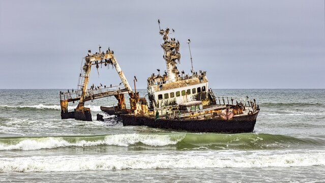 Wreck of the German steamer Eduard Bohlen, Zeila, Cormorant nesting site, Namibia