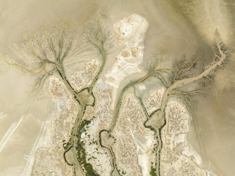 Abstract patterns at low tide in the marshland of the Nature Reserve La Bre&ntilde;a y Marismas del Barbate. Aerial view. Drone shot. C&aacute;diz province, Andalusia, Spain
