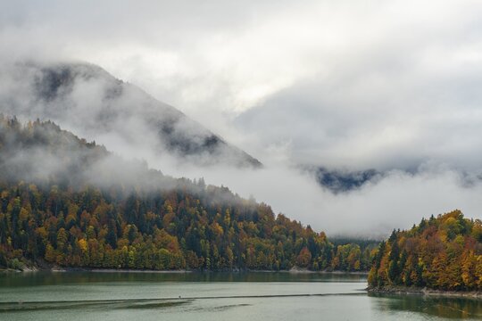 Sylvenstein Speicher with autumn forest in the mist, Lenggries, Upper Bavaria, Germany