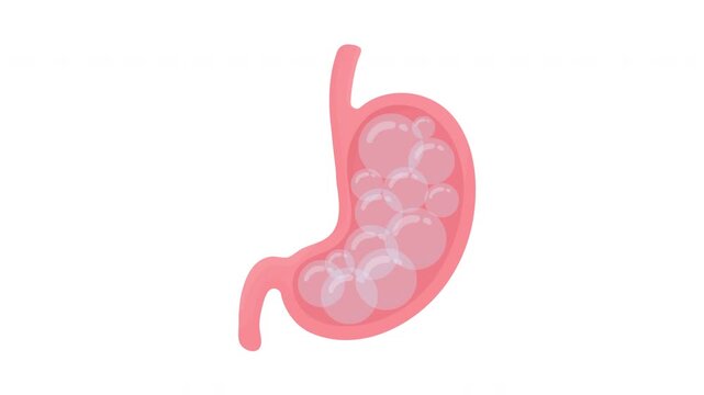 Animated bloated stomach expanding on white background, abdominal bloating digestive discomfort and gastrointestinal health concept