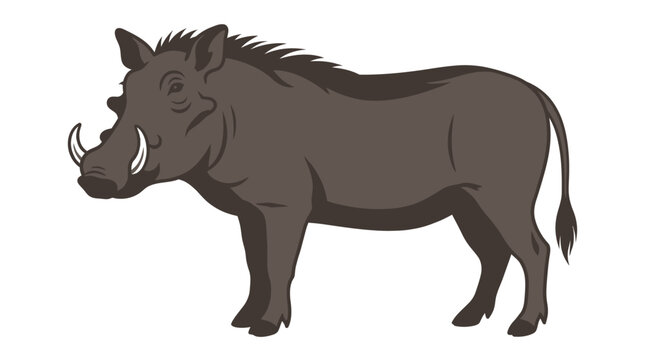 Cartoon Warthog Standing Vector Illustration   