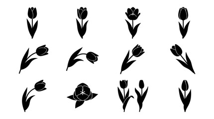 Fototapeta premium Black and white tulip vector illustration