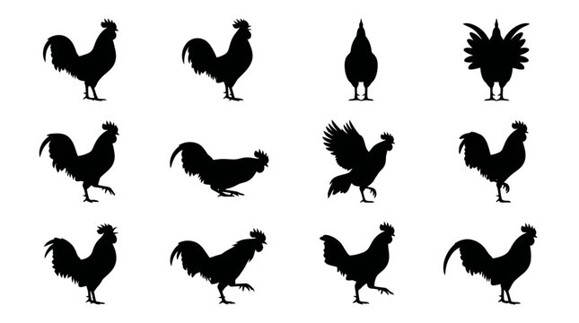 Black silhouette roosters and birds in minimalist style