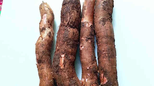 Fresh raw cassava roots manihot esculenta group from Guatemala isolated on white background