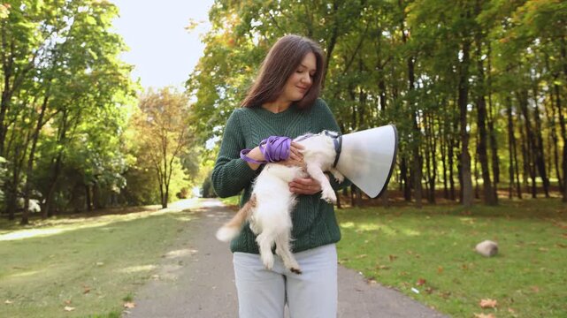 Woman walks with Jack Russell terrier after surgery and comforts it in park. Dog is eager to run as recovery continues with care.