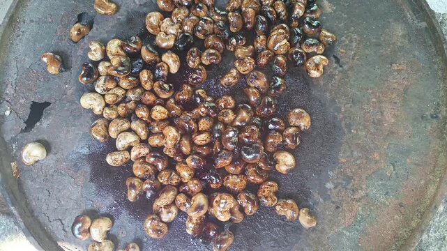 Roasted cashew nuts anacardium occidentale in shell on metal comal griddle from Guatemala