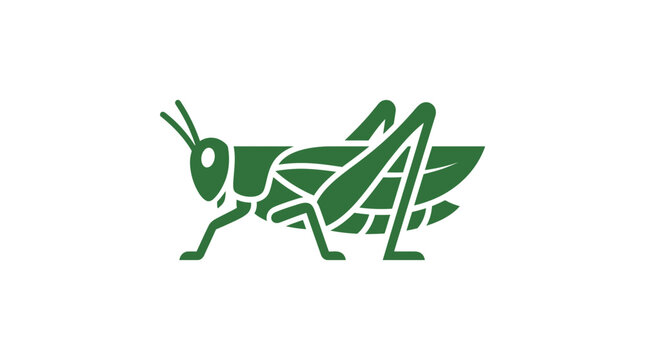 Green grasshopper insect icon isolated on white background, vector illustration