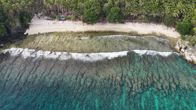 Calm seas bathe the beautiful coastline of the remote Maju Island in the Molucca Sea, Indonesia. A rugged, rocky reef surrounds this tropical paradise which few people ever visit.