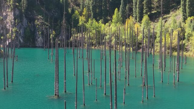 Kaindy Lake in Kazakhstan drone aerial 4k