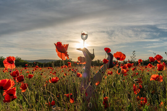 Wine glass balanced on high heels amidst blooming Papaver rhoeas field during golden hour sunset