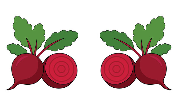 Two beetroots with green leaves and sliced half, vector illustration